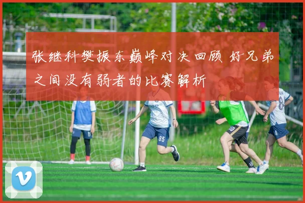 张继科樊振东巅峰对决回顾 好兄弟之间没有弱者的比赛解析