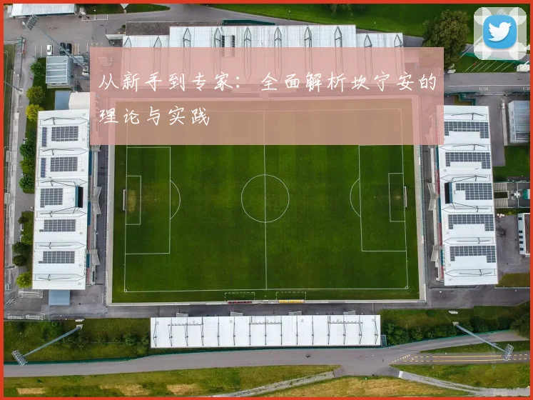 从新手到专家：全面解析坎宁安的理论与实践