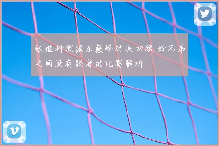 张继科樊振东巅峰对决回顾 好兄弟之间没有弱者的比赛解析