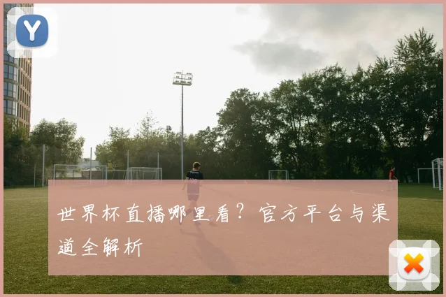 世界杯直播哪里看？官方平台与渠道全解析