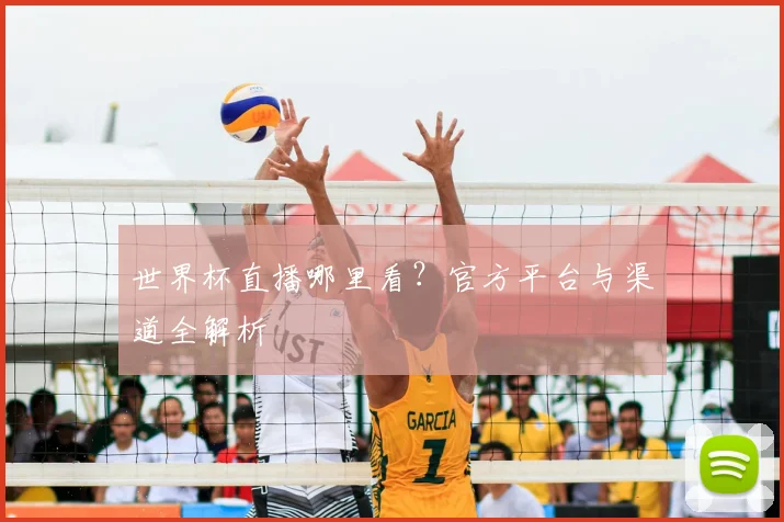 世界杯直播哪里看？官方平台与渠道全解析